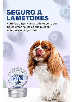 Bálsamo natural para almohadillas y nariz – Arándano suave