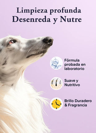 Champú con acondicionador para perros – Lavanda suave
