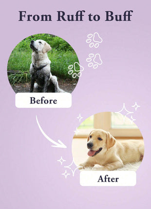 Champú con acondicionador para perros – Lavanda suave