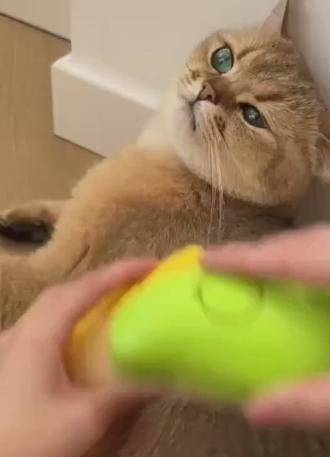 Cepillo eléctrico con vapor y masaje para mascotas